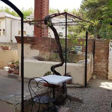 Appartement 300 M Plage Et Port Banyuls-sur-Mer Buitenkant foto