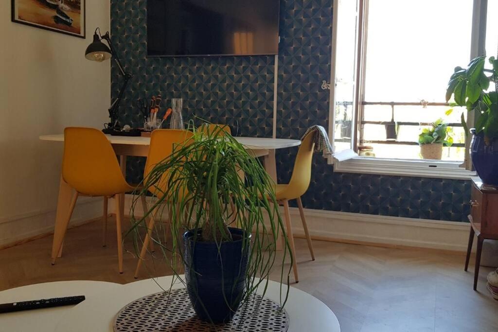 Appartement 300 M Plage Et Port Banyuls-sur-Mer Buitenkant foto