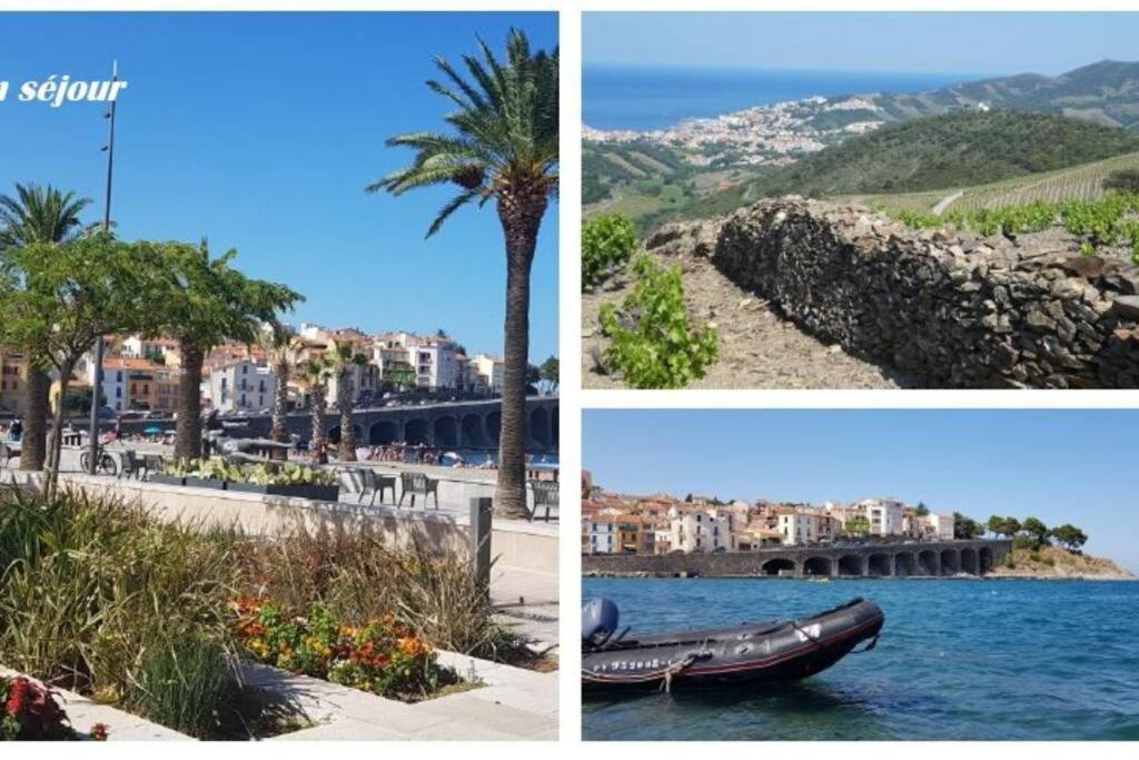 Appartement 300 M Plage Et Port Banyuls-sur-Mer Buitenkant foto