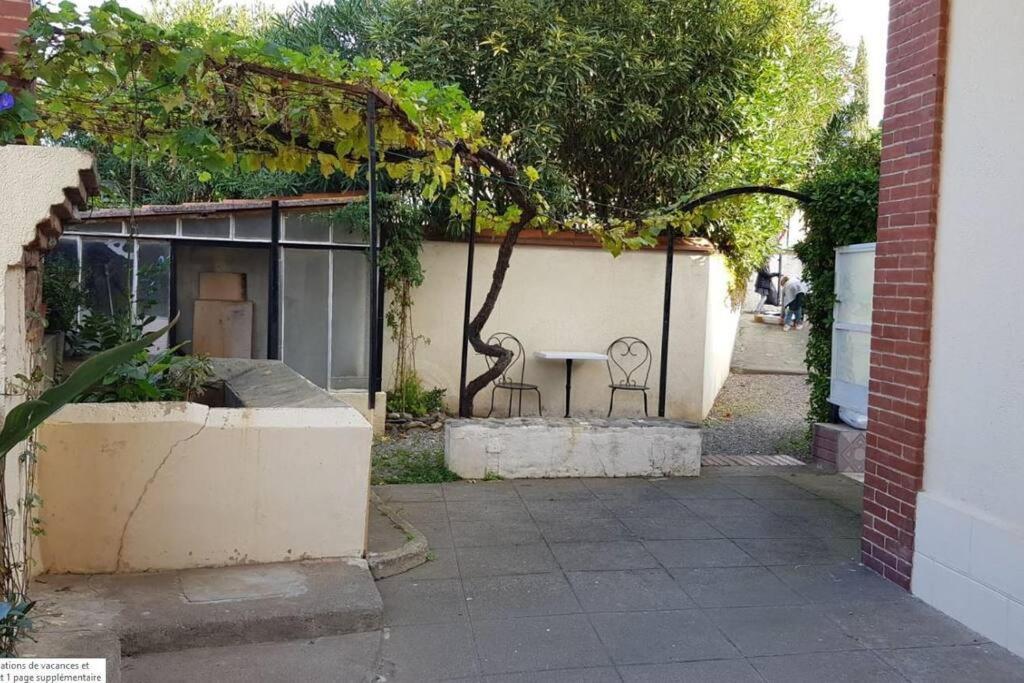 Appartement 300 M Plage Et Port Banyuls-sur-Mer Buitenkant foto